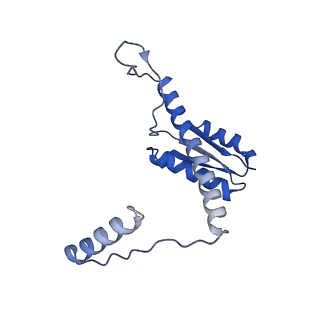 11635_7a4j_OD_v1-2
Aquifex aeolicus lumazine synthase-derived nucleocapsid variant NC-4