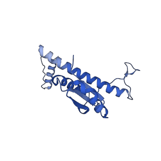 11635_7a4j_PA_v1-2
Aquifex aeolicus lumazine synthase-derived nucleocapsid variant NC-4
