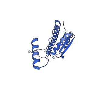 11635_7a4j_PB_v1-2
Aquifex aeolicus lumazine synthase-derived nucleocapsid variant NC-4