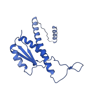 11635_7a4j_PC_v1-2
Aquifex aeolicus lumazine synthase-derived nucleocapsid variant NC-4