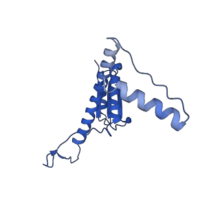 11635_7a4j_PD_v1-2
Aquifex aeolicus lumazine synthase-derived nucleocapsid variant NC-4