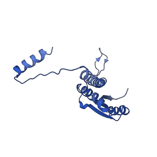 11635_7a4j_QA_v1-2
Aquifex aeolicus lumazine synthase-derived nucleocapsid variant NC-4
