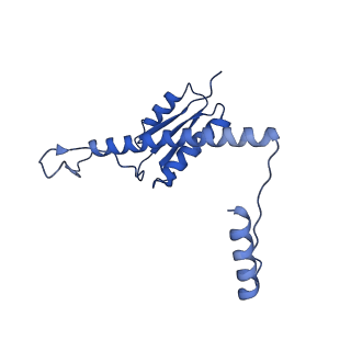 11635_7a4j_QB_v1-2
Aquifex aeolicus lumazine synthase-derived nucleocapsid variant NC-4