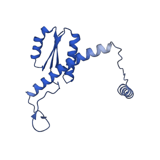 11635_7a4j_QD_v1-2
Aquifex aeolicus lumazine synthase-derived nucleocapsid variant NC-4