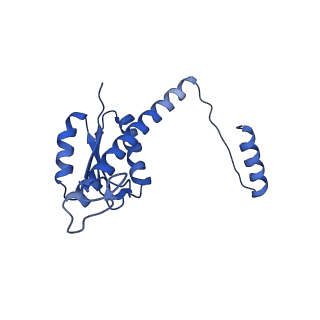 11635_7a4j_RA_v1-2
Aquifex aeolicus lumazine synthase-derived nucleocapsid variant NC-4