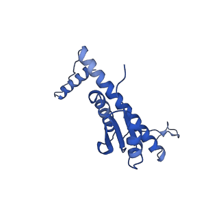 11635_7a4j_RB_v1-2
Aquifex aeolicus lumazine synthase-derived nucleocapsid variant NC-4