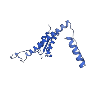 11635_7a4j_RC_v1-2
Aquifex aeolicus lumazine synthase-derived nucleocapsid variant NC-4