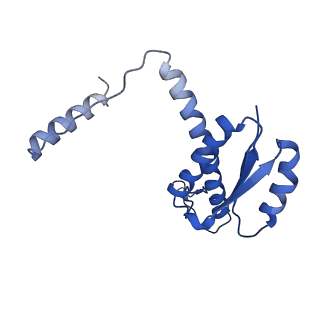 11635_7a4j_RD_v1-2
Aquifex aeolicus lumazine synthase-derived nucleocapsid variant NC-4