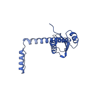 11635_7a4j_SB_v1-2
Aquifex aeolicus lumazine synthase-derived nucleocapsid variant NC-4