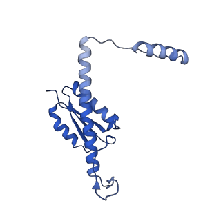 11635_7a4j_SC_v1-2
Aquifex aeolicus lumazine synthase-derived nucleocapsid variant NC-4