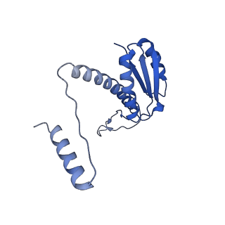 11635_7a4j_SD_v1-2
Aquifex aeolicus lumazine synthase-derived nucleocapsid variant NC-4