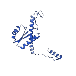 11635_7a4j_TA_v1-2
Aquifex aeolicus lumazine synthase-derived nucleocapsid variant NC-4