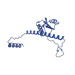 11635_7a4j_TB_v1-2
Aquifex aeolicus lumazine synthase-derived nucleocapsid variant NC-4