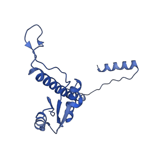 11635_7a4j_TC_v1-2
Aquifex aeolicus lumazine synthase-derived nucleocapsid variant NC-4
