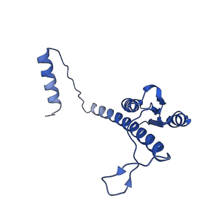 11635_7a4j_TD_v1-2
Aquifex aeolicus lumazine synthase-derived nucleocapsid variant NC-4