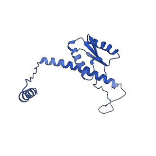 11635_7a4j_UA_v1-2
Aquifex aeolicus lumazine synthase-derived nucleocapsid variant NC-4