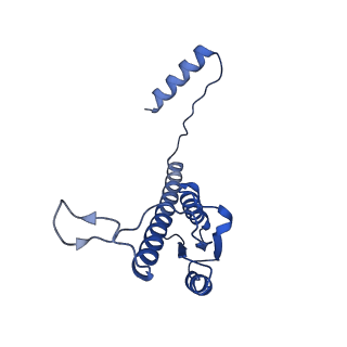 11635_7a4j_UB_v1-2
Aquifex aeolicus lumazine synthase-derived nucleocapsid variant NC-4