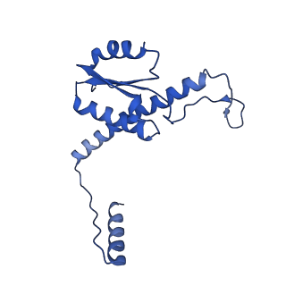 11635_7a4j_UC_v1-2
Aquifex aeolicus lumazine synthase-derived nucleocapsid variant NC-4