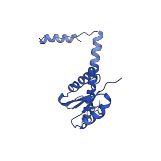 11635_7a4j_VA_v1-2
Aquifex aeolicus lumazine synthase-derived nucleocapsid variant NC-4