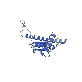 11635_7a4j_VB_v1-2
Aquifex aeolicus lumazine synthase-derived nucleocapsid variant NC-4