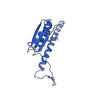 11635_7a4j_VC_v1-2
Aquifex aeolicus lumazine synthase-derived nucleocapsid variant NC-4