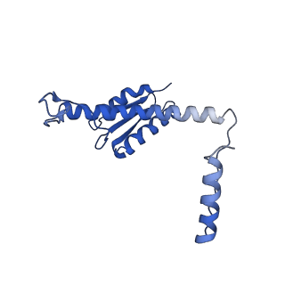 11635_7a4j_VD_v1-2
Aquifex aeolicus lumazine synthase-derived nucleocapsid variant NC-4