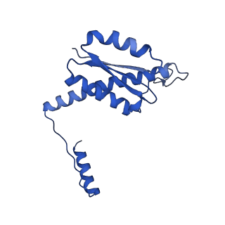 11635_7a4j_WA_v1-2
Aquifex aeolicus lumazine synthase-derived nucleocapsid variant NC-4