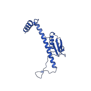 11635_7a4j_WB_v1-2
Aquifex aeolicus lumazine synthase-derived nucleocapsid variant NC-4