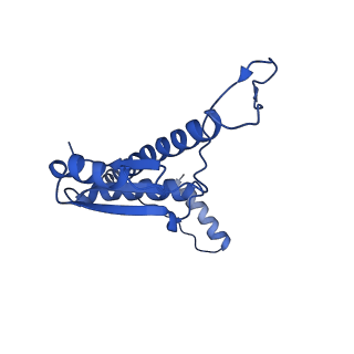 11635_7a4j_WC_v1-2
Aquifex aeolicus lumazine synthase-derived nucleocapsid variant NC-4