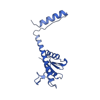 11635_7a4j_WD_v1-2
Aquifex aeolicus lumazine synthase-derived nucleocapsid variant NC-4