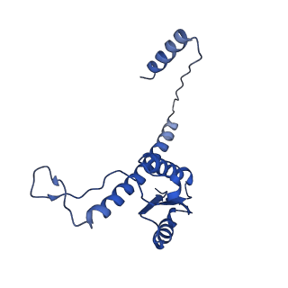 11635_7a4j_XA_v1-2
Aquifex aeolicus lumazine synthase-derived nucleocapsid variant NC-4