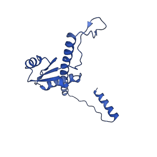 11635_7a4j_XB_v1-2
Aquifex aeolicus lumazine synthase-derived nucleocapsid variant NC-4