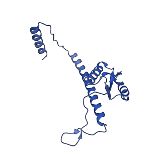 11635_7a4j_XC_v1-2
Aquifex aeolicus lumazine synthase-derived nucleocapsid variant NC-4