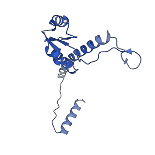 11635_7a4j_XD_v1-2
Aquifex aeolicus lumazine synthase-derived nucleocapsid variant NC-4