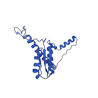 11635_7a4j_YA_v1-2
Aquifex aeolicus lumazine synthase-derived nucleocapsid variant NC-4