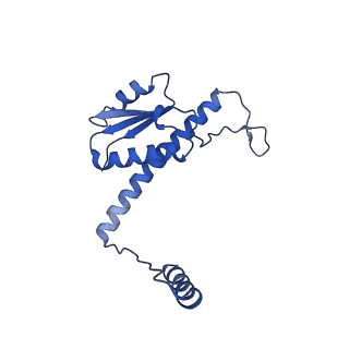 11635_7a4j_YB_v1-2
Aquifex aeolicus lumazine synthase-derived nucleocapsid variant NC-4