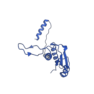 11635_7a4j_YC_v1-2
Aquifex aeolicus lumazine synthase-derived nucleocapsid variant NC-4