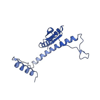 11635_7a4j_YD_v1-2
Aquifex aeolicus lumazine synthase-derived nucleocapsid variant NC-4