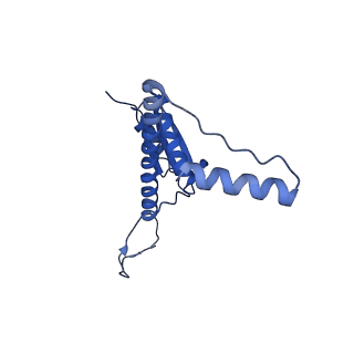 11635_7a4j_ZB_v1-2
Aquifex aeolicus lumazine synthase-derived nucleocapsid variant NC-4