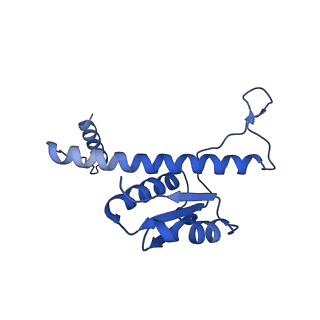 11635_7a4j_ZC_v1-2
Aquifex aeolicus lumazine synthase-derived nucleocapsid variant NC-4