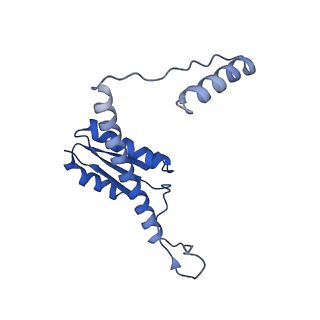 11635_7a4j_ZD_v1-2
Aquifex aeolicus lumazine synthase-derived nucleocapsid variant NC-4