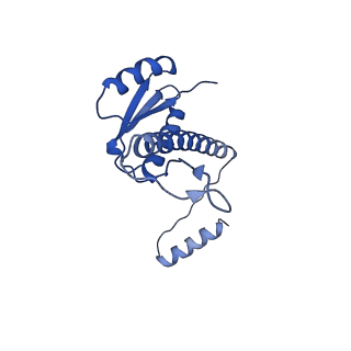 11635_7a4j_aA_v1-2
Aquifex aeolicus lumazine synthase-derived nucleocapsid variant NC-4