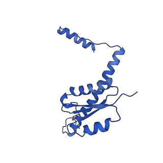 11635_7a4j_aB_v1-2
Aquifex aeolicus lumazine synthase-derived nucleocapsid variant NC-4