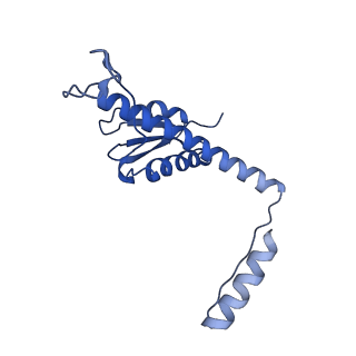 11635_7a4j_aC_v1-2
Aquifex aeolicus lumazine synthase-derived nucleocapsid variant NC-4