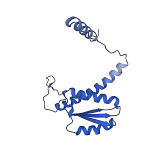 11635_7a4j_aD_v1-2
Aquifex aeolicus lumazine synthase-derived nucleocapsid variant NC-4