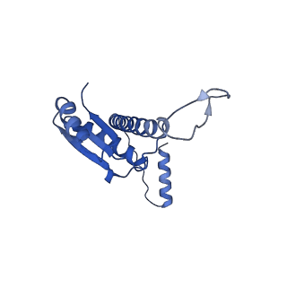 11635_7a4j_bA_v1-2
Aquifex aeolicus lumazine synthase-derived nucleocapsid variant NC-4