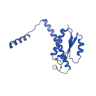 11635_7a4j_bB_v1-2
Aquifex aeolicus lumazine synthase-derived nucleocapsid variant NC-4