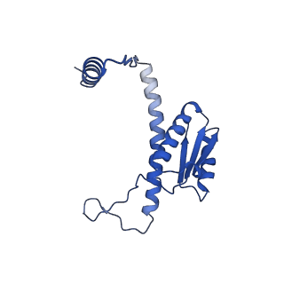 11635_7a4j_bD_v1-2
Aquifex aeolicus lumazine synthase-derived nucleocapsid variant NC-4