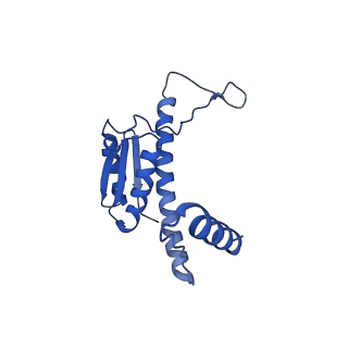 11635_7a4j_cA_v1-2
Aquifex aeolicus lumazine synthase-derived nucleocapsid variant NC-4