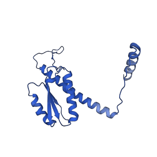 11635_7a4j_cC_v1-2
Aquifex aeolicus lumazine synthase-derived nucleocapsid variant NC-4